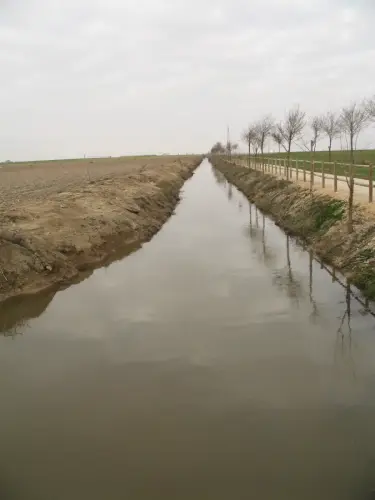 Canal-Ma-Cristina-Albacete27