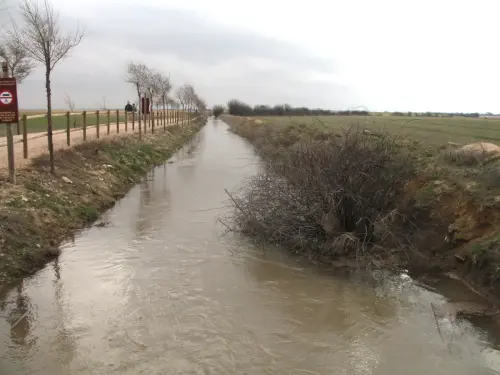 Canal-Ma-Cristina-Albacete31