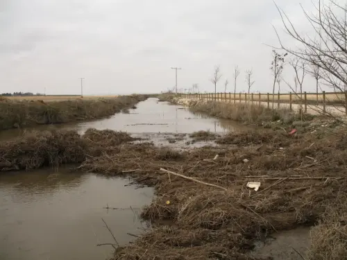 Canal-Ma-Cristina-Albacete33