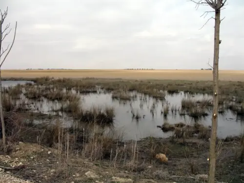 Canal-Ma-Cristina-Albacete34