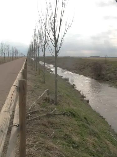 Canal-Ma-Cristina-Albacete36