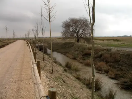 Canal-Ma-Cristina-Albacete37