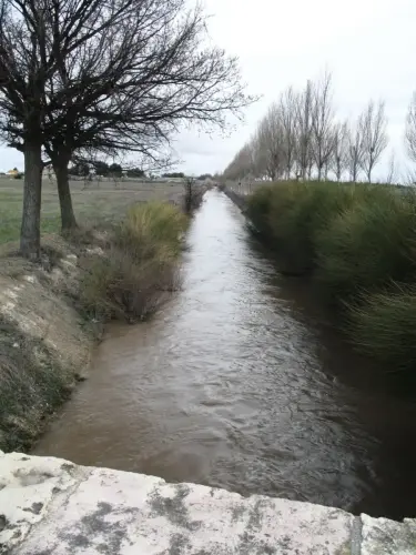 Canal-Ma-Cristina-Albacete43