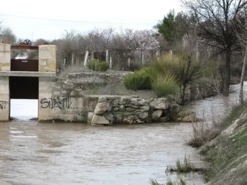 Canal-Ma-Cristina-Albacete45