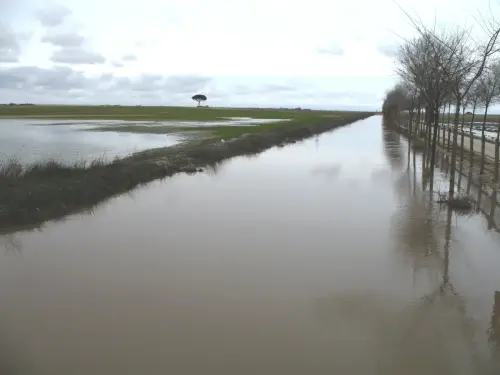 Canal-Ma-Cristina-Albacete48