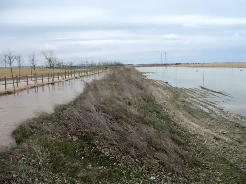 Canal-Ma-Cristina-Albacete49