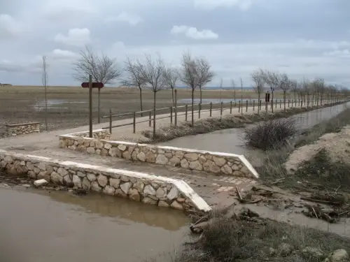 Canal-Ma-Cristina-Albacete55