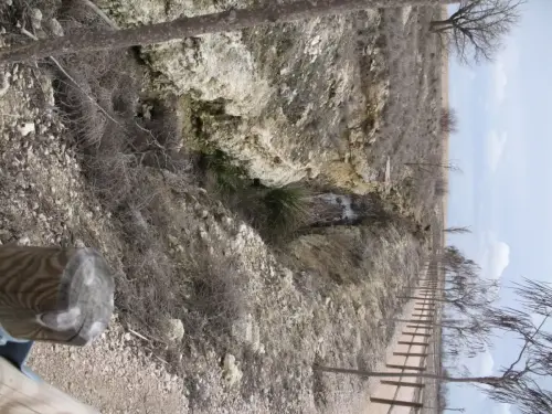 Canal-Ma-Cristina-Albacete58