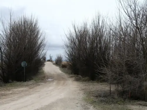 Canal-Ma-Cristina-Albacete59