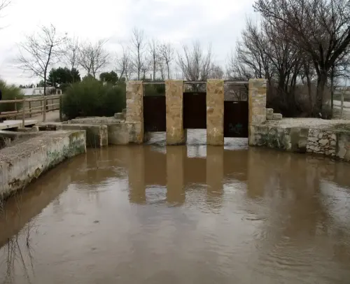 Canal-Ma-Cristina-Albacete6