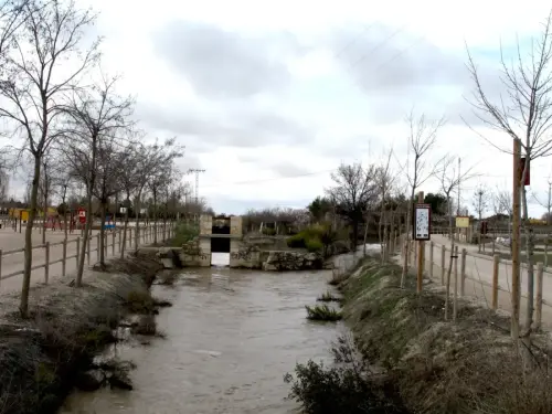 Canal-Ma-Cristina-Albacete7
