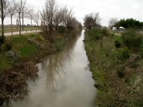 Canal-Ma-Cristina-Albacete9