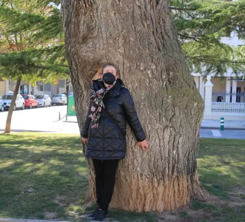 Arbol-singular-Albacete-Olmos-del-Paseo-de-la-Cuba6