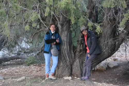 Arbol-singular-Fuente-de-la-Sabina-Letur-Sabina-de-Pradosabina3