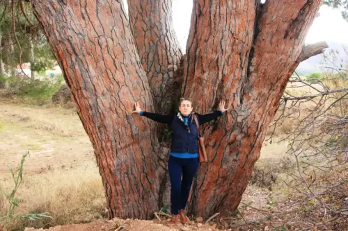 Arbol-singular-Hellin-Pino-doncel-de-Tedelche5