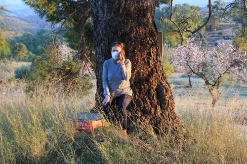 Arbol-singular-Horno-Ciego-Elche-de-la-Sierra-Pinos6