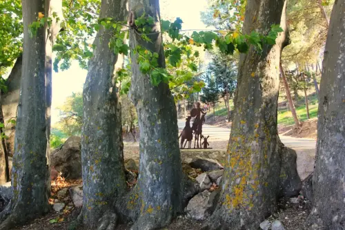Arbol-singular-Lezuza-Platanos-del-castillo