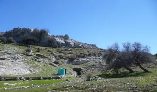 Arbol-singular-Riopar-Calar-del-Mundo-Cerezo-de-Mahoma-guindo-del-Pozo-La-Bomba3