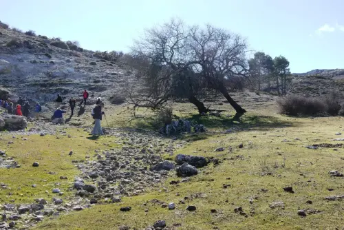 Arbol-singular-Riopar-Calar-del-Mundo-Cerezo-de-Mahoma-guindo-del-Pozo-La-Bomba4