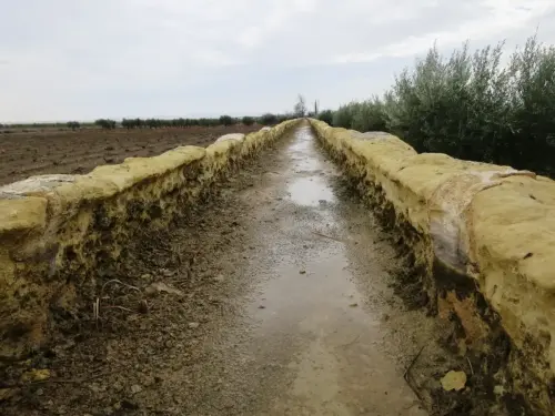 Acueducto-de-Albatana14