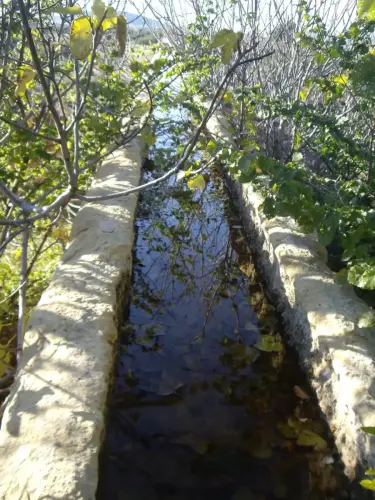 Acueducto-de-Albatana6