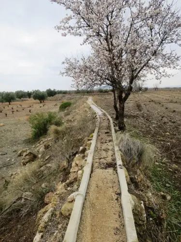 Acueducto-de-Albatana7