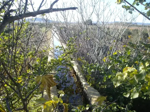 Albatana-Acueducto11