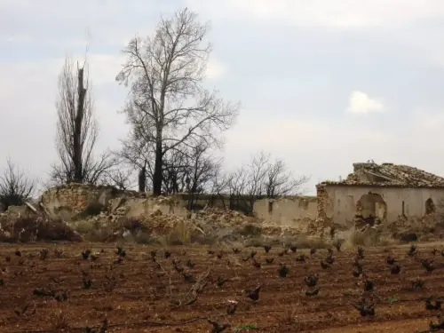 Albatana-Acueducto12