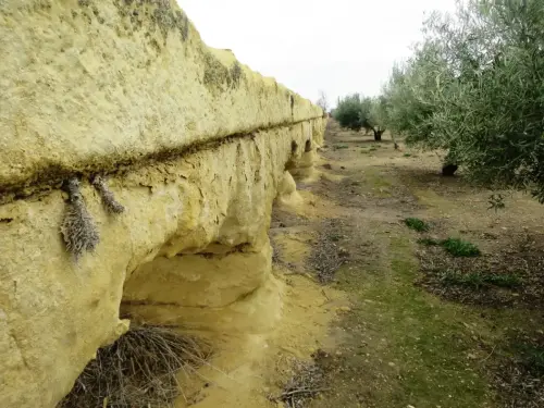 Albatana-Acueducto31