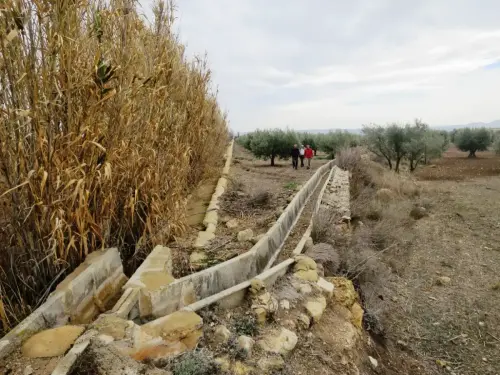 Albatana-Acueducto39