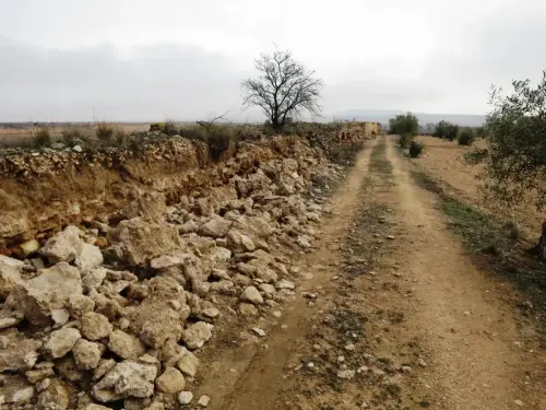 Acueducto-de-Montealegre25