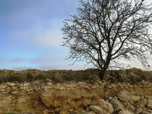 Acueducto-de-Montealegre26