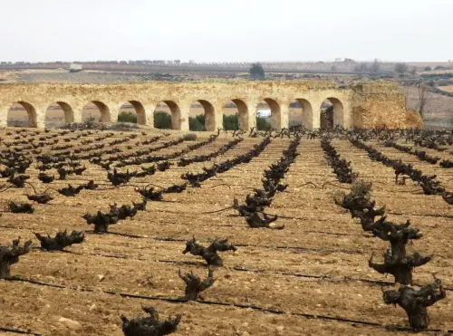 Acueducto-de-Montealegre4