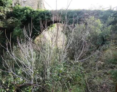 Acueductos-Molinicos8