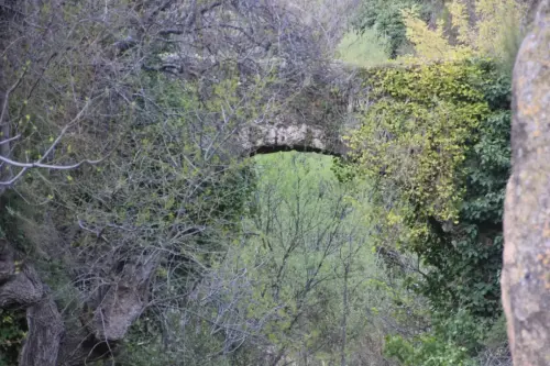 Acueductos-Molinicos9