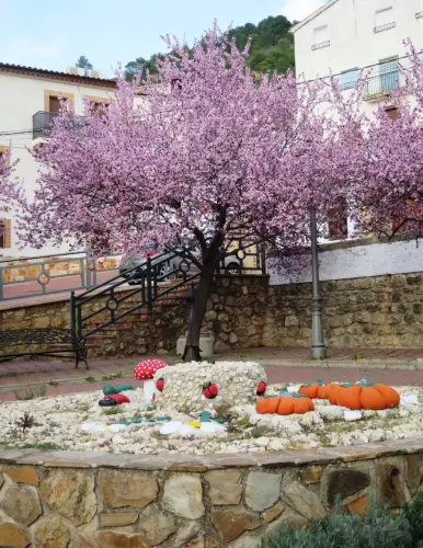 Prunus-Pisardi-Arbol-del-amor2