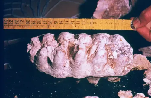 ARQUE.-002-Molar-de-mamut-areneros-de-Fuensanta