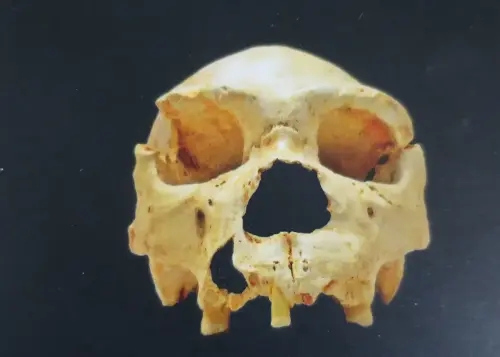 ARQUE.-006-Homo-heidelbergensis.-Miguelon