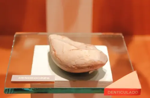 ARQUE.-013-P.Inferior-Achelense-Hendedor