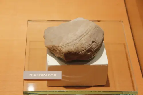 ARQUE.-014-P.Inferior-Achelense-Perforador