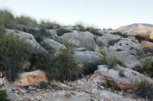 ARQUE.-027-P.MedioEl-Pedernaloso-IssoHellin-Musteriense