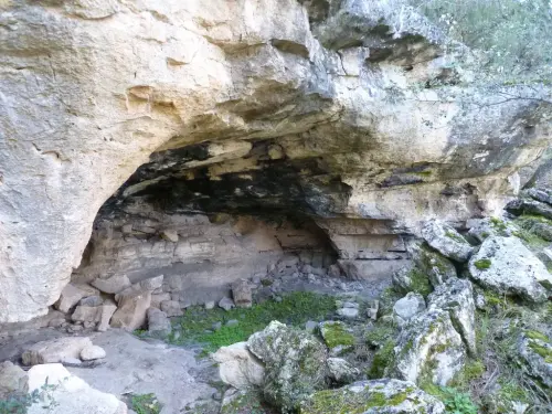 ARQUE.-040-P.Medio-Rambla-de-la-Quebrada-Alcadozo