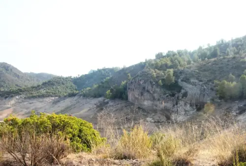 ARQUE.-049-P.Medio-Superior-El-Palomar-Yeste