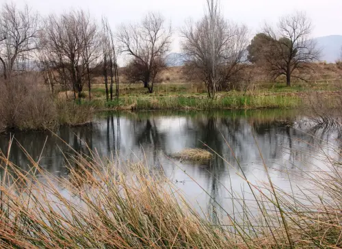 ARQUE.-056-Neolitico-Calcolitico-Fuente-de-IssoHellin