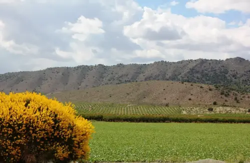 ARQUE.-076-Calcolitico-Pena-de-los-Gigantes-Tobarra