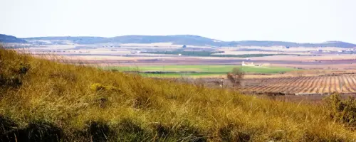 ARQUE.-078-Cueva-de-Mediabarba-o-de-las-Calaveras-Montealegre-del-Castillo