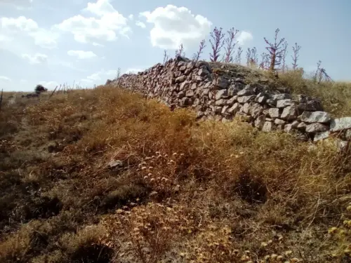 ARQUE.-086-Bronce-Morra-del-Quintanar-Munera