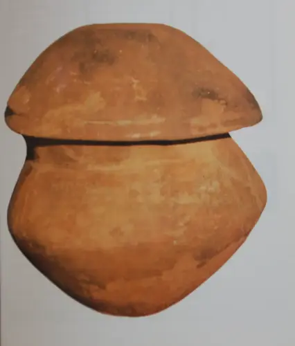 ARQUE.-089-Urna-funeraria-de-la-Huerta-del-Pato-Munera