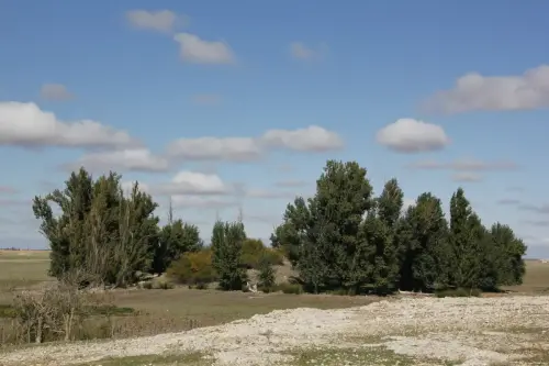 ARQUE.-093-El-Acequion-Albacete