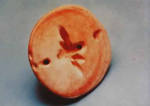 ARQUE.-101-El-Acequion-Albacete-Boton-en-V